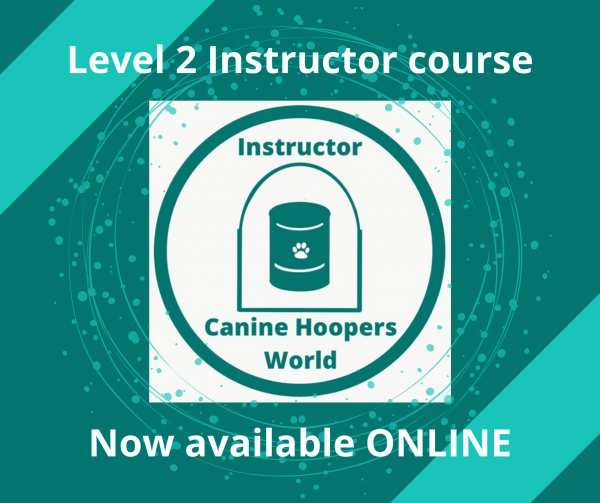 Level 2 instructors course online