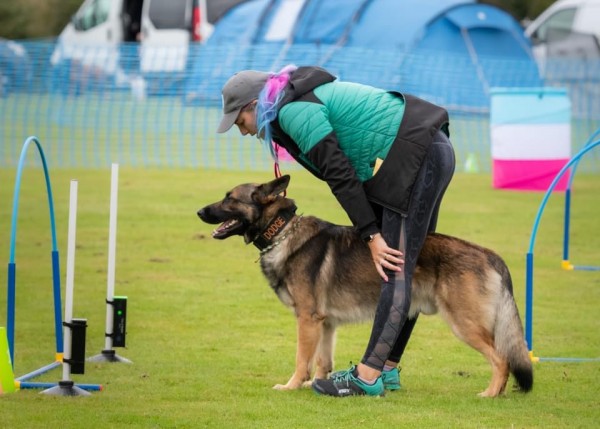 Workshop for dogs competing at all levels