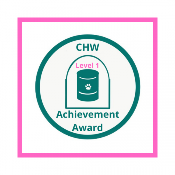CHW Achievement Award level 1