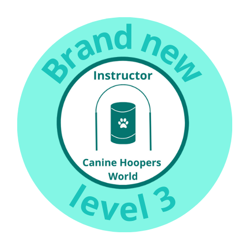 Level 3 instructor course in person